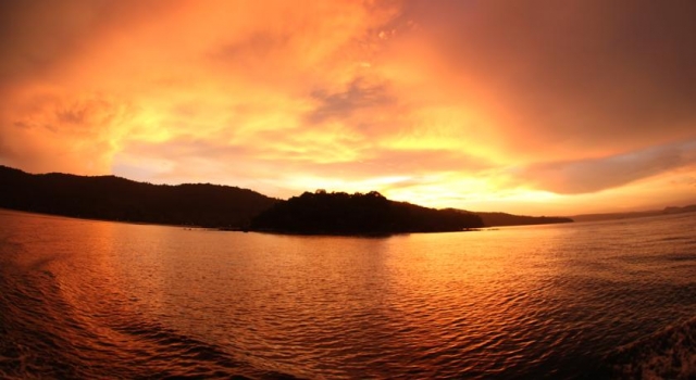 paradise2