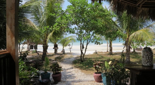 paradise8